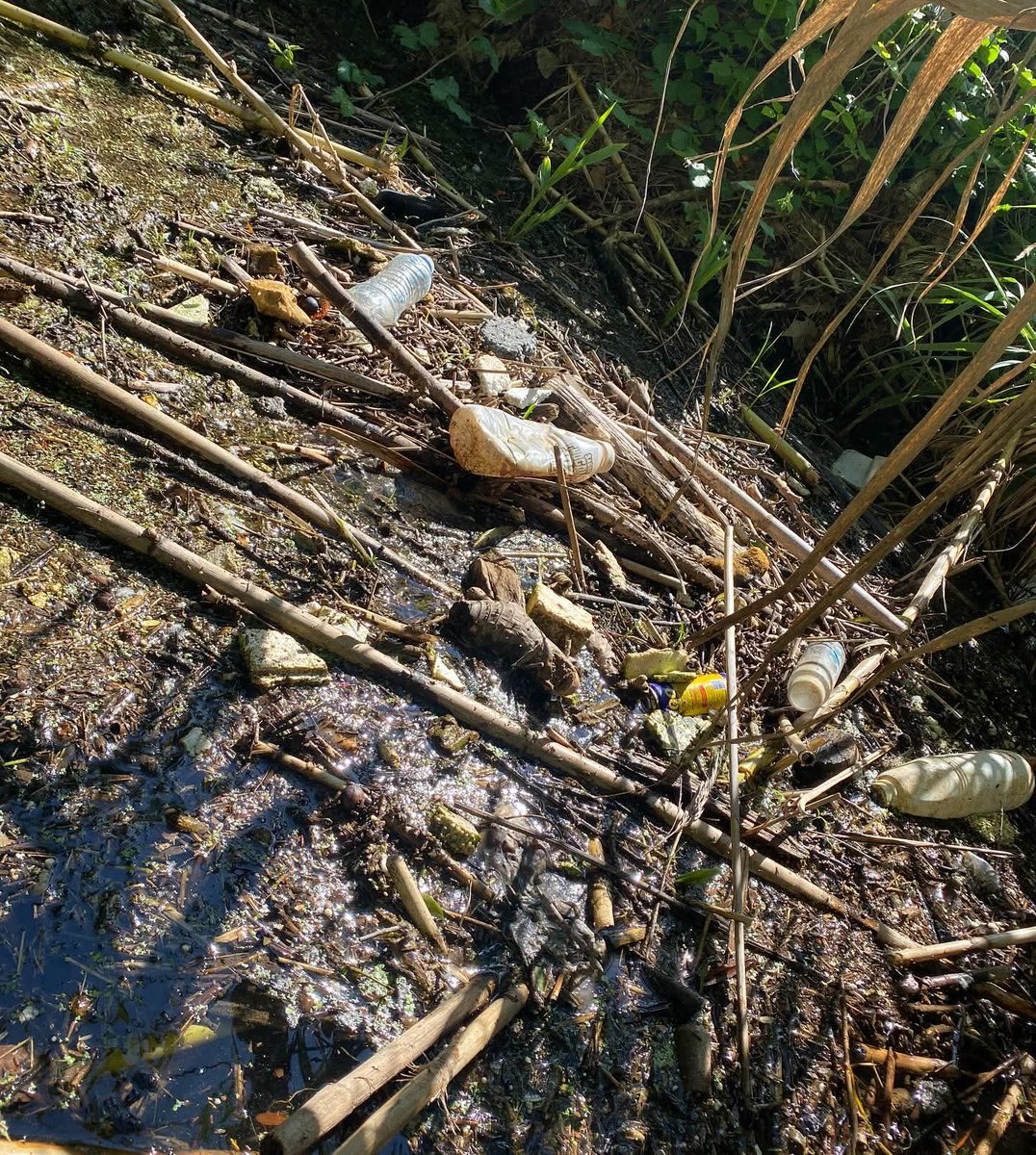 Avui ens hem ben remullat tots… però hem aconseguit treure 90 kg de brossa de les dues illes del Ter darrera del Geieg de Sant Ponç.
➡️NO és la nostra brossa, però sí és el nostre Planeta 💚🌍💙
➡️Fes quelcom a canvi de no res 😊
➡️Voluntaris
➡️També fem xerrades educatives.