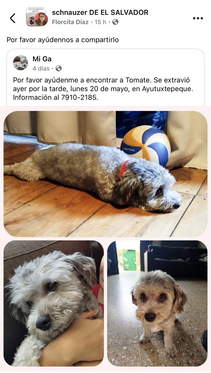 Compartamos, please🙏