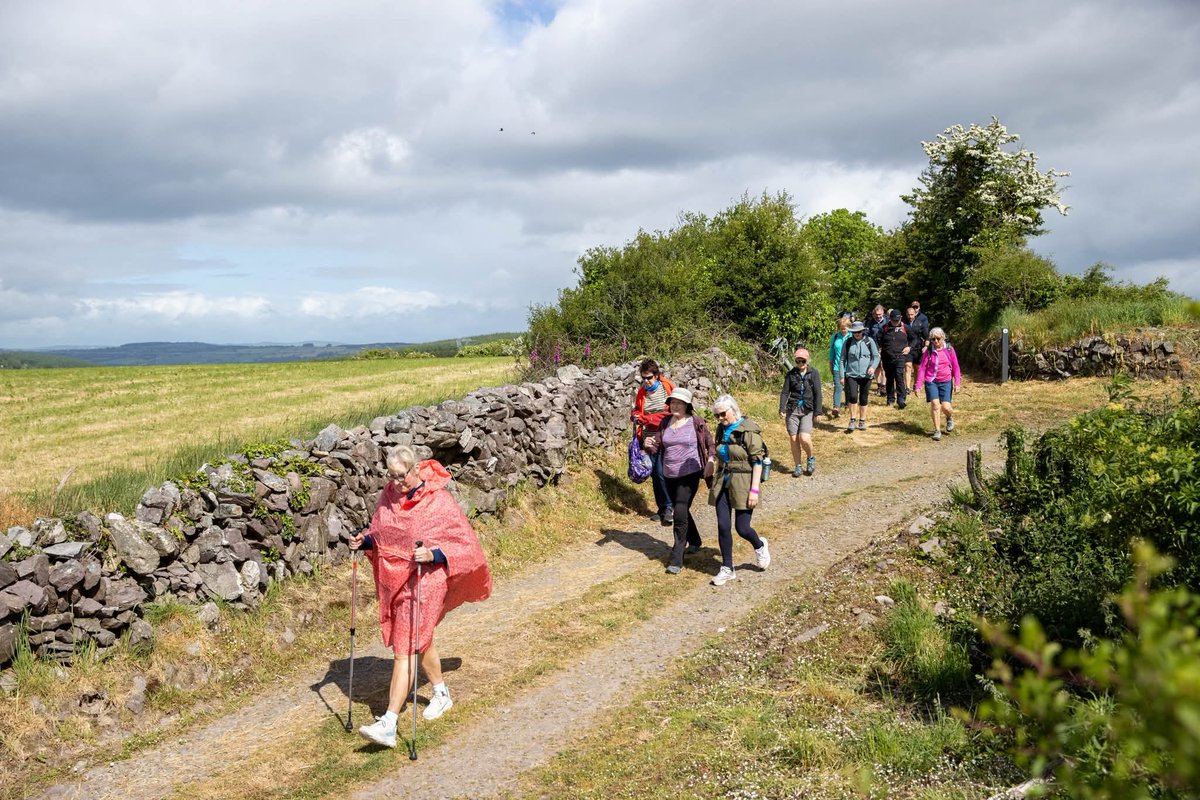 St. Declan's Way tweet media