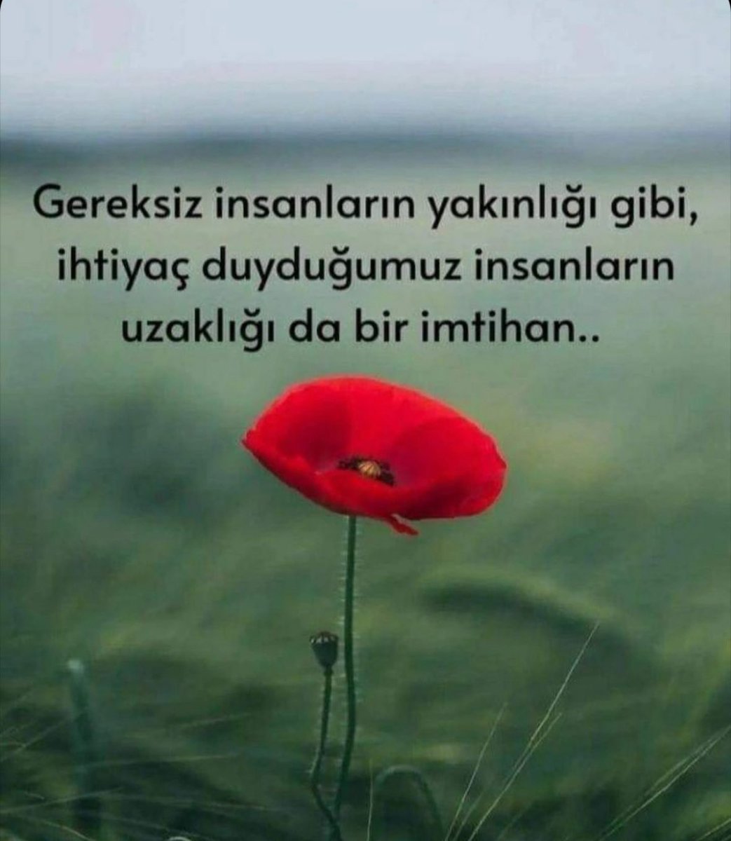 DevraN (@turp_devran) on Twitter photo 