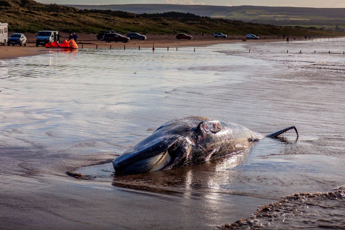 Brian Cunningham tweet media