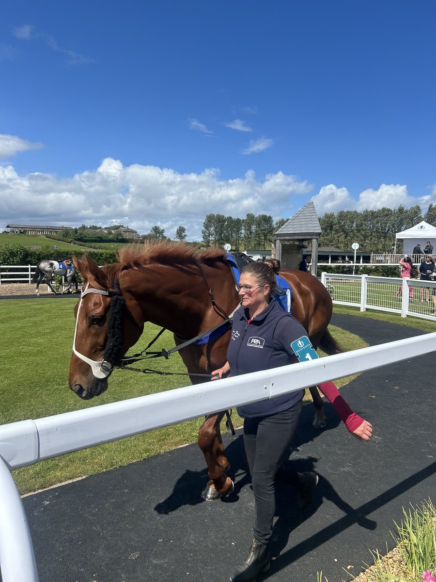 Crazyg07231486's tweet photo. Pergamon @JCandlishracing @SquinlanSean @KelsoRacecourse 

WINNER 🥇🐎 https://t.co/OFb1pswgbL