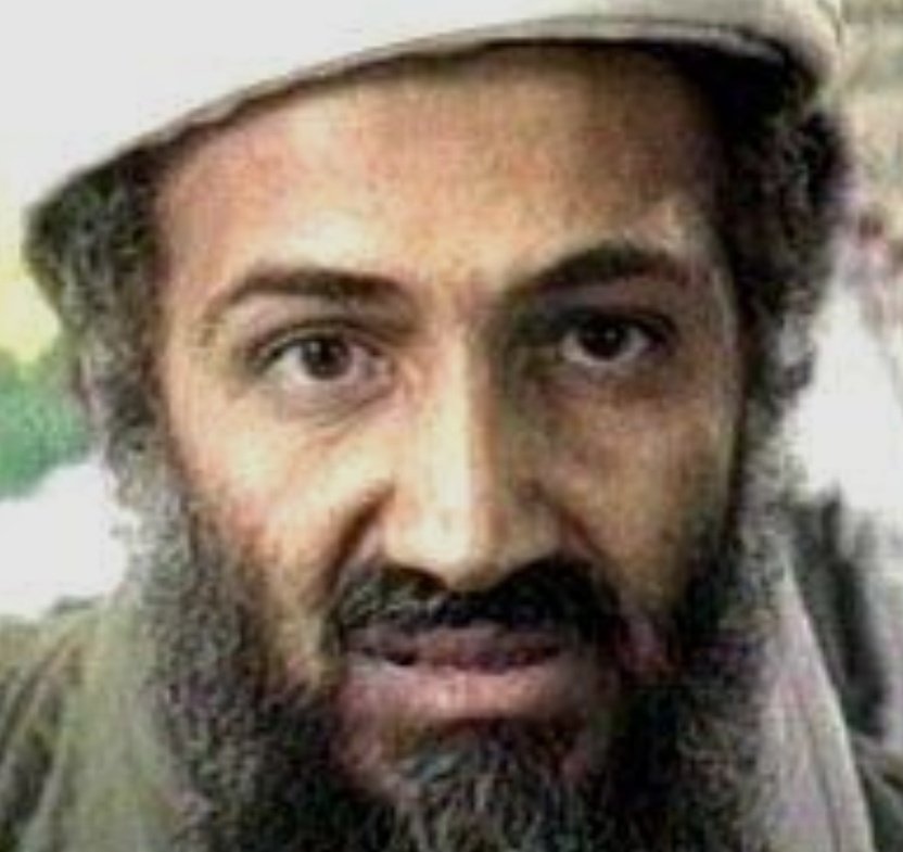 Oblomovnew tweet media