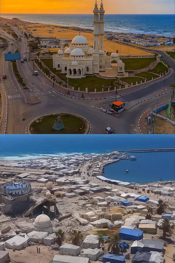 Dignity for Palestinians Campaign tweet media