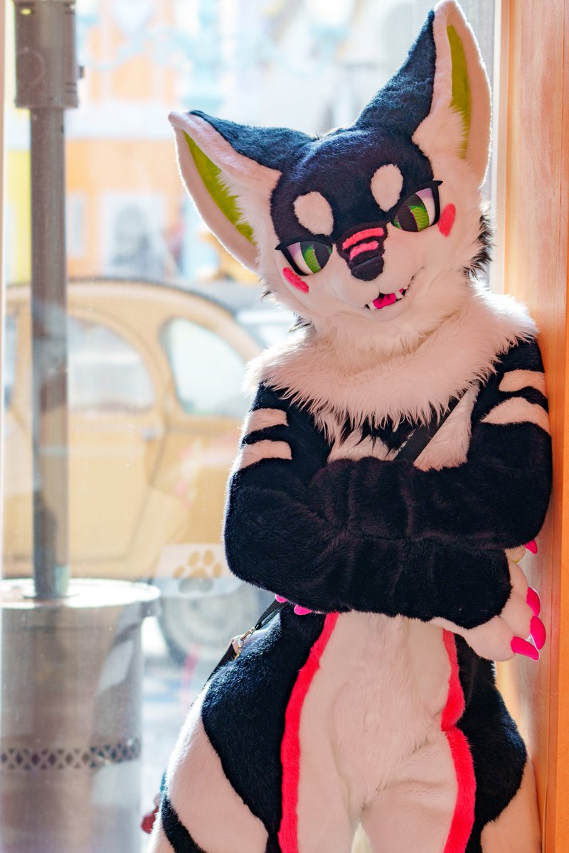 おはよー！！
今週も頑張ろうね！
#ケモノをみて今週もがんばりマンデー