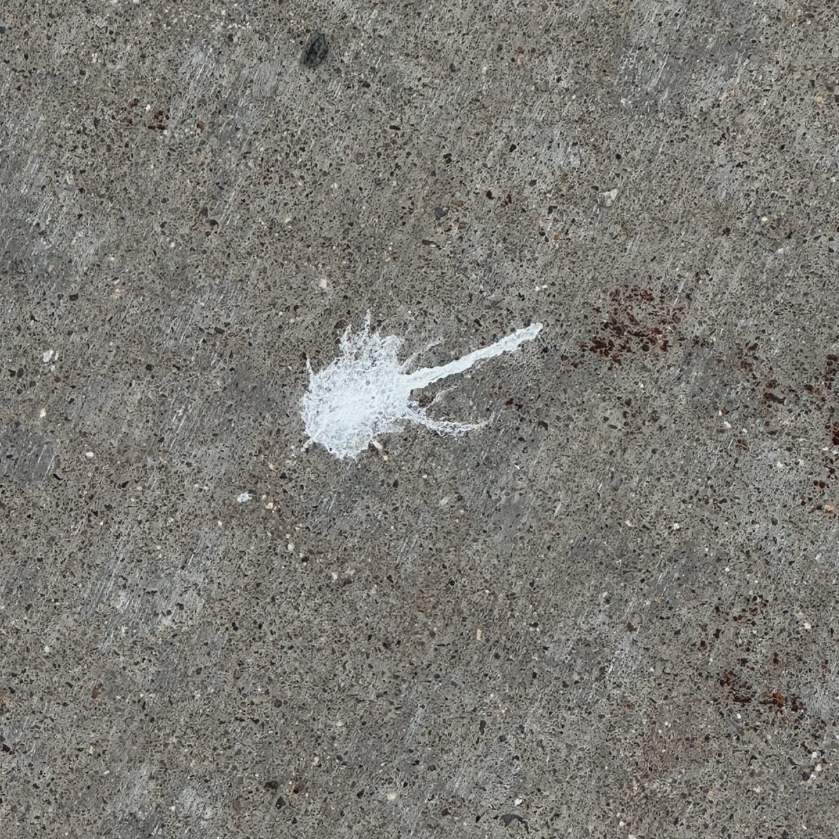 RetunedJewelry's tweet photo. You know you’ve been working a lot when you take the dog for a walk and you look down at some bird poop and see a guitar… 🤪 https://t.co/eUs4NKCfVb