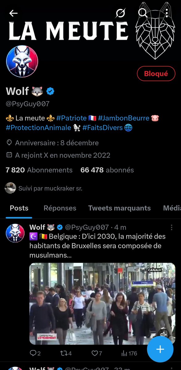 Lavadime tweet media