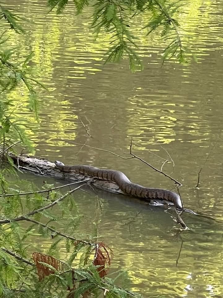 Sir Crypto 🙂 tweet media