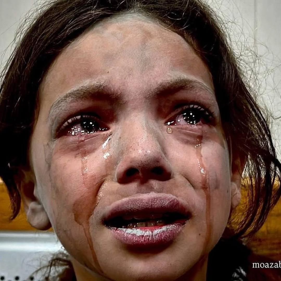 RTElice_'s tweet photo. Bu gözler sessiz kalanlardan şikayetçi olacak.

#Gaza 💔 https://t.co/rSHgf5pU94