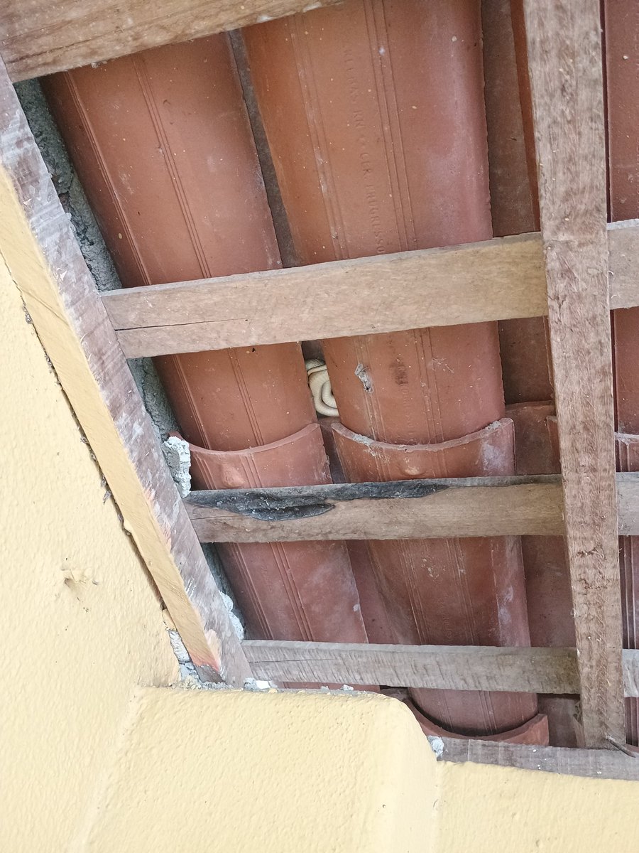 lubinhas tweet media