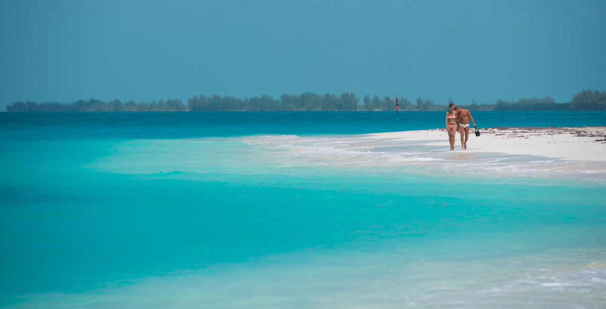 🌴🌞 Varadero, Cayo Largo, Playa Sirena… #Cuba tiene playas de ensueño para todos los gustos. ¡Descúbrelas! 🏖️ #CubaUnica #CubaTravel  #PlayasCubanas #Playas
#Cuba