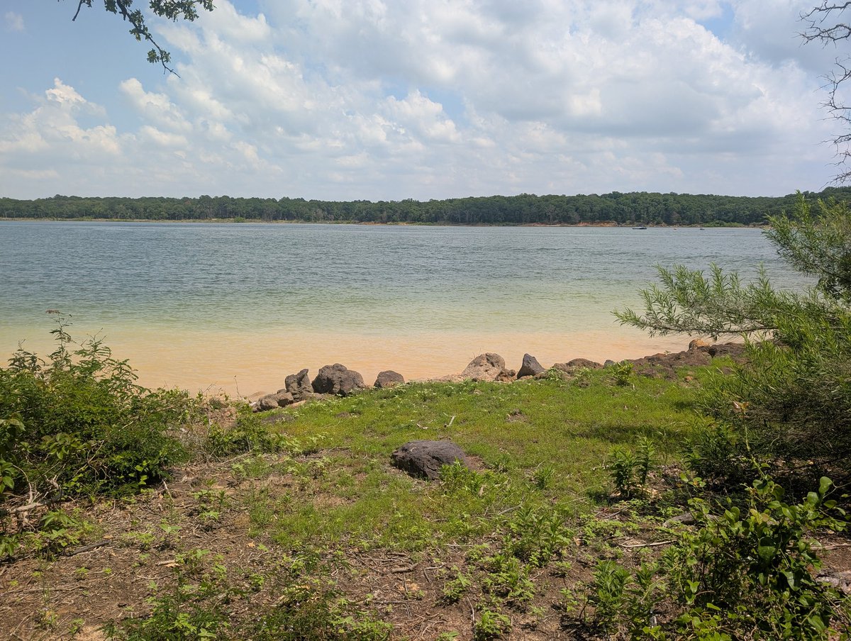 Pupper_Wupper's tweet image. found the perfect picnic spot