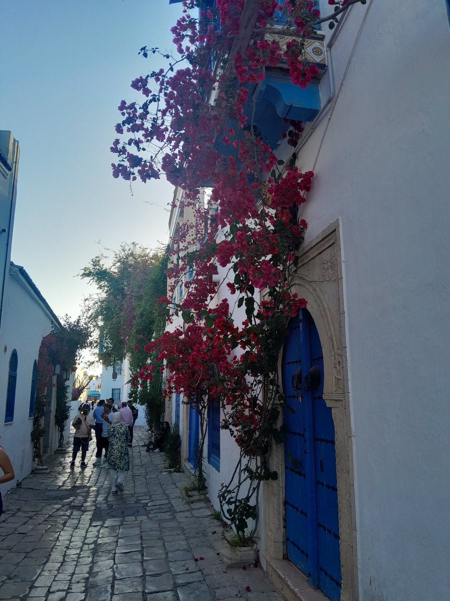 Das erste Mal in Tunesien - erst geschäftlich in Tunis und dann 2 Tage am Strand von Hammamet. 
Kann man mal machen. 😎