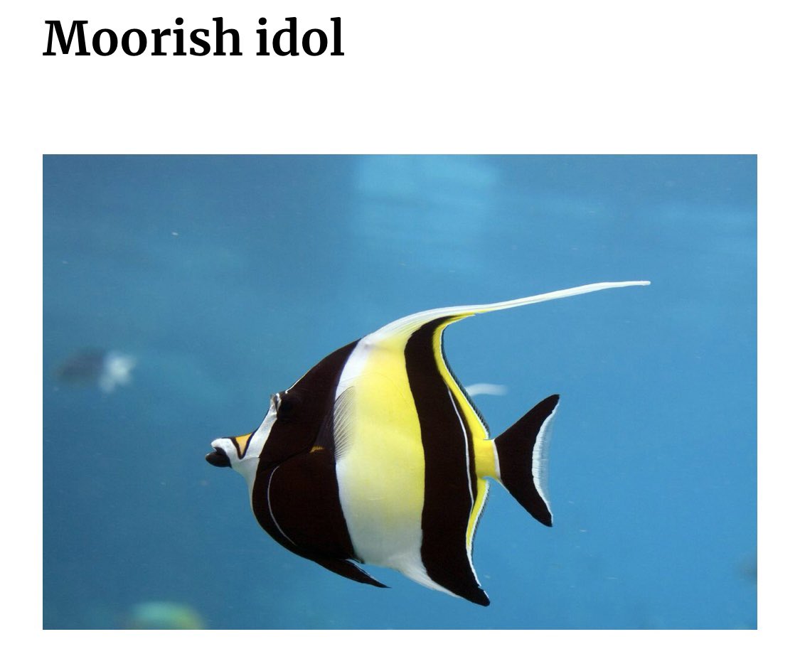 Olukayode Olubunmi (@iam_olukayode) on Twitter photo 