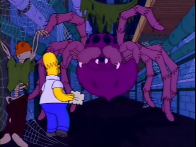 Si de la araña cae maldición solo pronuncia una oración.