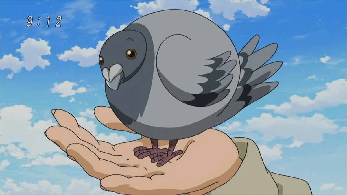 anime pigeon