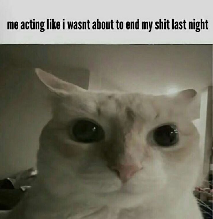 literallymecats's tweet photo. https://t.co/Okk3Fz3FPq