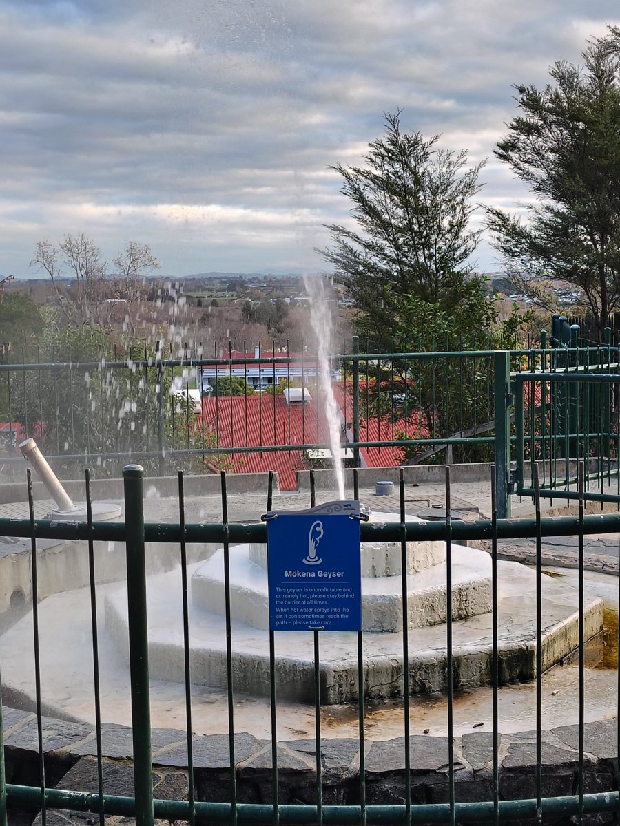 Would love to see a photo you took. It could be anything. Here's mine. The first time in 20 years I saw this geyser go off. I'm not convinced it wasn't on a timer, and it's no Old Faithful, but it is a New Zealand geyser.