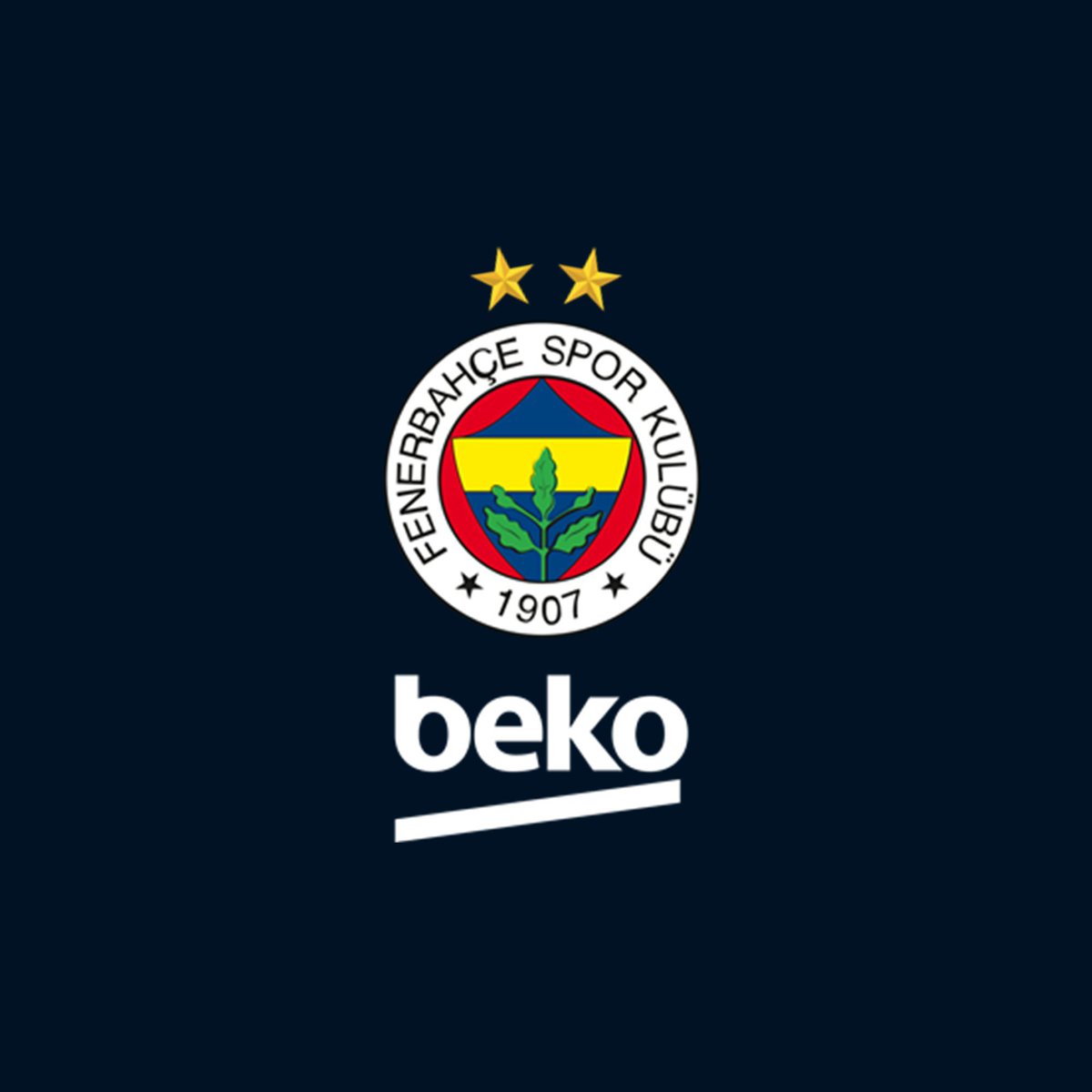 AVRUPANIN EN BÜYÜĞÜ