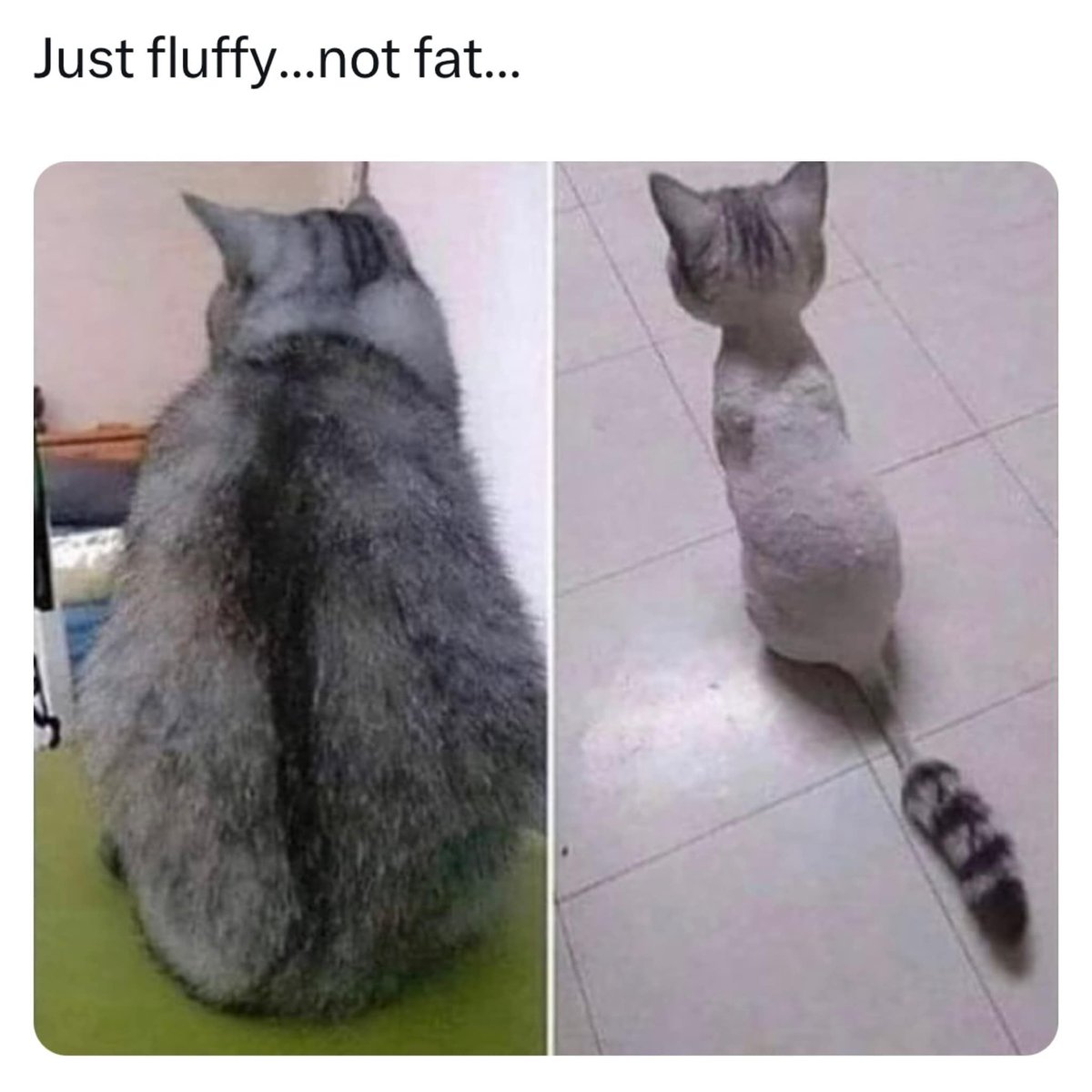 Awwww...