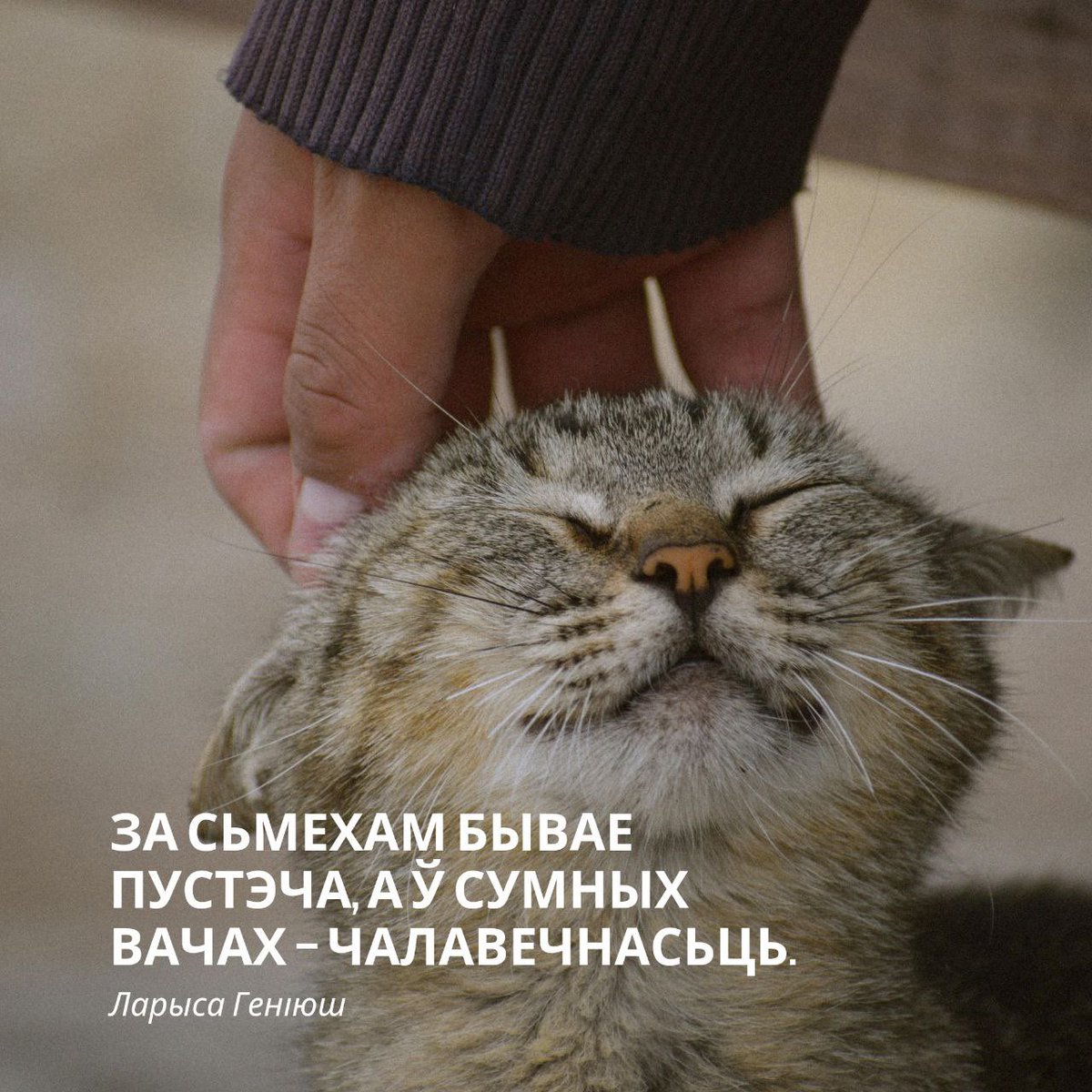 OldGnom's tweet photo. https://t.co/WubwOSO04T