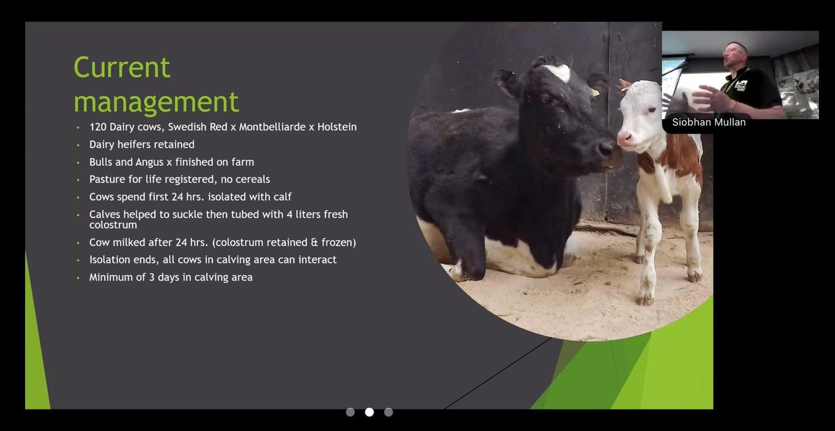 Our Dairy Manager, Charles, has written about his trip to the Transformdairynet Knowledge &amp; Innovation Network event in Greece, which you can now read on our website. 

theethicaldairy.co.uk/blog/hope-spri…
