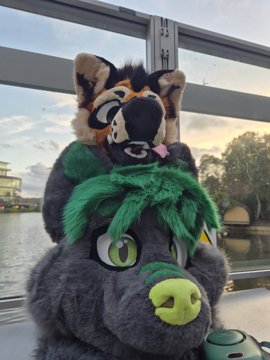LolTotallyNotRex Suit (@lolrexsuit) on Twitter photo 