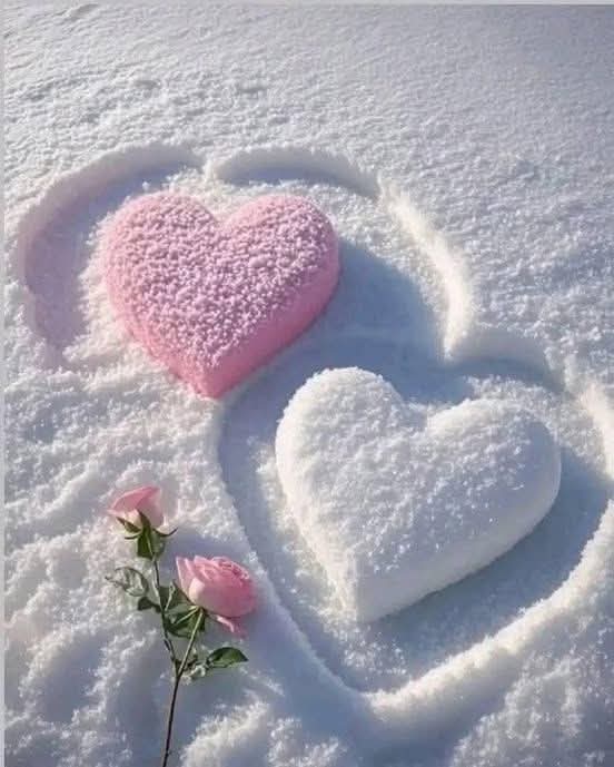 deihani's tweet photo. عند ما تغضب ...
إكسر اي شي ،
ولكن تجنب كسر شعور البشر 
فكلمات الغضب قاسية جدًا
🌹 https://t.co/NleR99QHz8