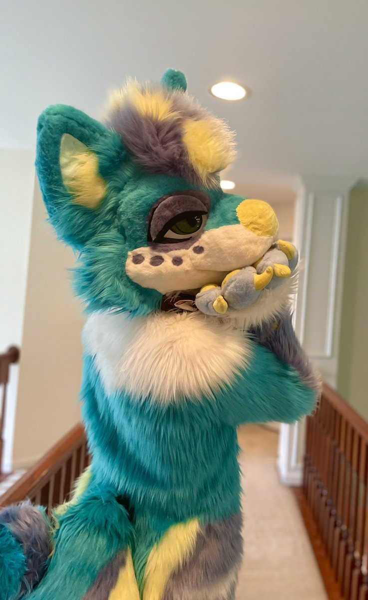 dork doggo tweet media