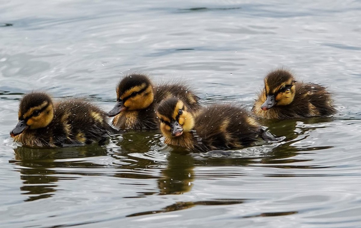 Sam Parish tweet media