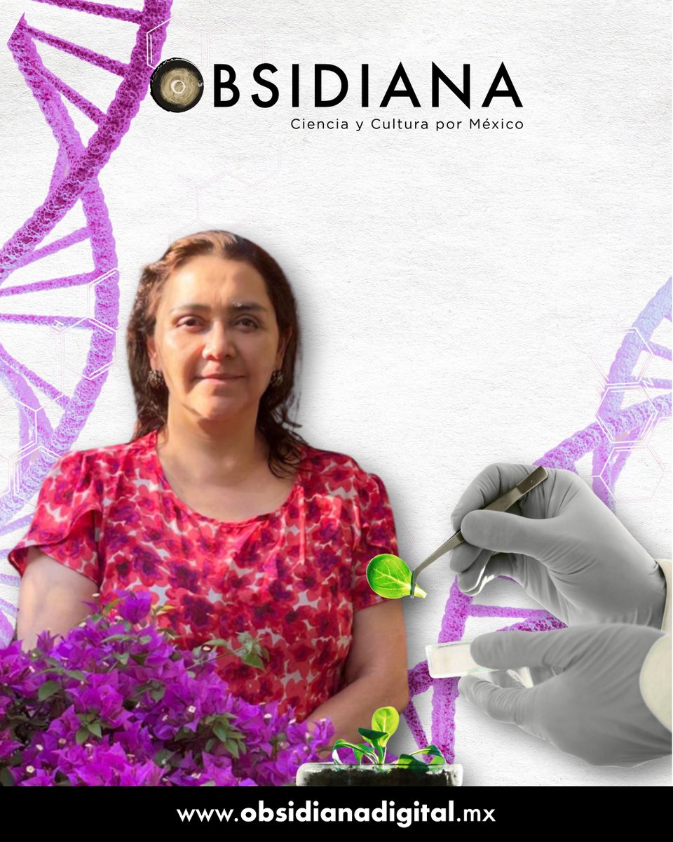 obsidiana_mex's tweet photo. Su motivación😃 siempre ha sido que la ciencia tenga un impacto tangible en la vida de las personas🧑‍🤝‍🧑. Conoce a la biotecnóloga🧬 Beatriz Xoconostle: “Si algo nos caracteriza a los investigadores es que no nos rendimos”.👉https://t.co/R5y2xkkBau

#MujeresEnLaCiencia #MujeresSTEM https://t.co/J5ZOuPzk9t