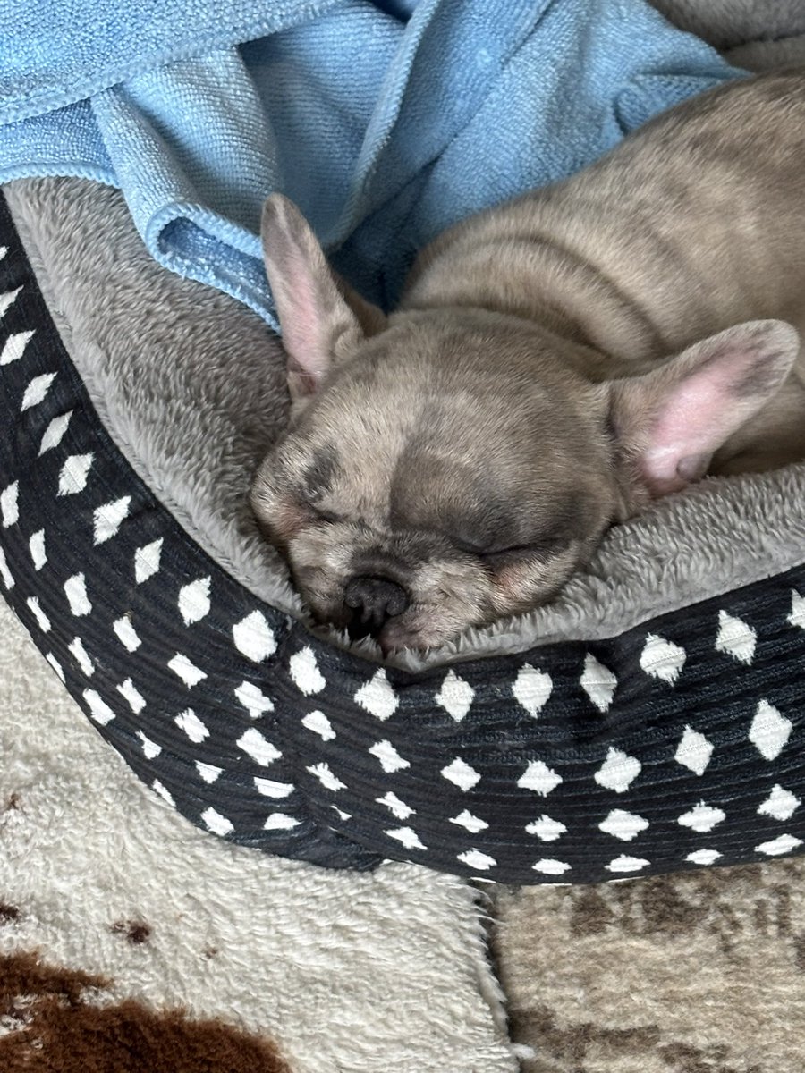 Ahhhh….. Sunday naps