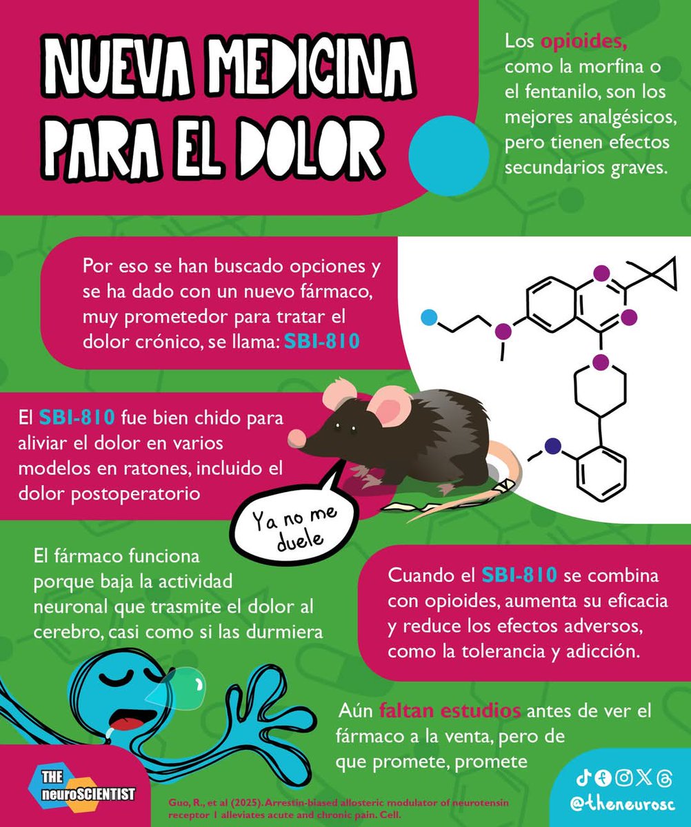 THE neuroSCIENTIST tweet media