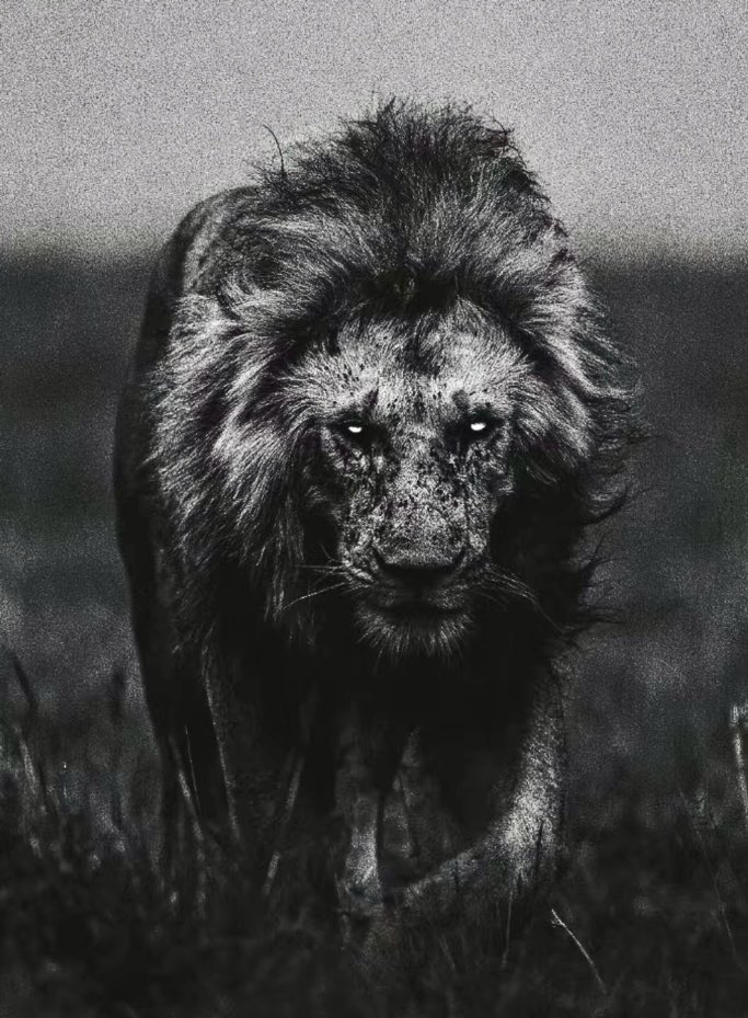 I was born a man, which means, for me, I will fight till my last breath to protect those I love. 

If it comes at the cost of my life, so be it. 

I will smile in deaths face without regret.