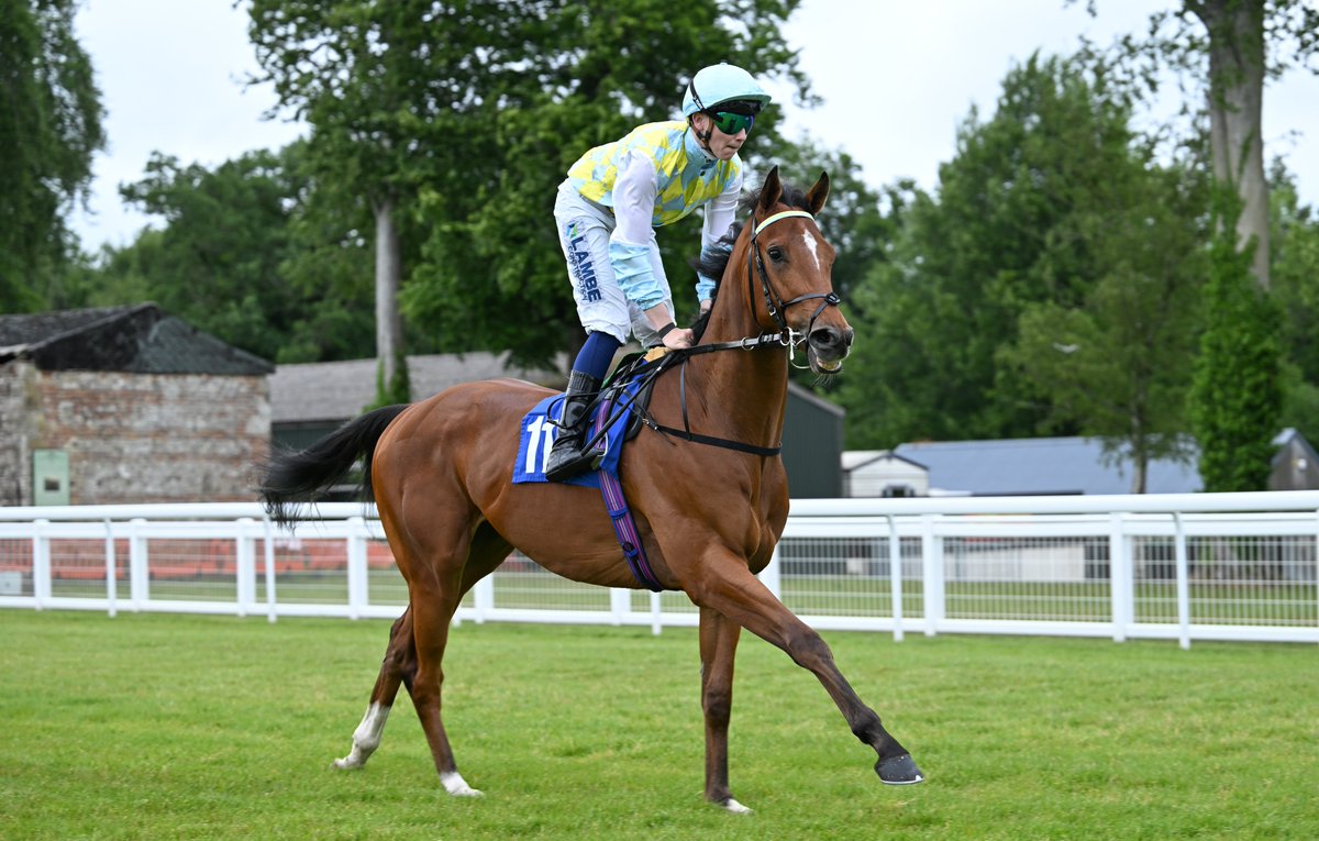 Photos from Salisbury yesterday can now be viewed on my website: francescaaltoft.co.uk/salisbury-24th…

Congratulations to all winning connections 🏆