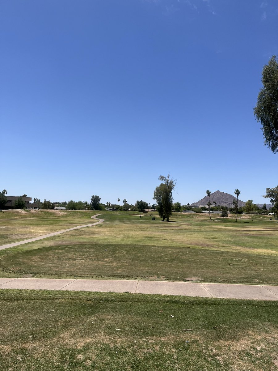 DonnyBubbles1's tweet image. Cart girl took my boy’s modelo but still having a day at the muni #toothgap