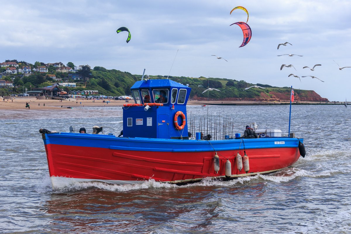 pmj_photos's tweet photo. Seagulls circling, kites twisting, and fishy business on board. This Exmouth fishing boat returned with a following - some feathered, some fabric.
#MarineMonday #CoastHour #DevonCoast #StuartLineCruises #ThePhotoHour #BoatLife @stuartlineexm https://t.co/RaDyYJaAfX