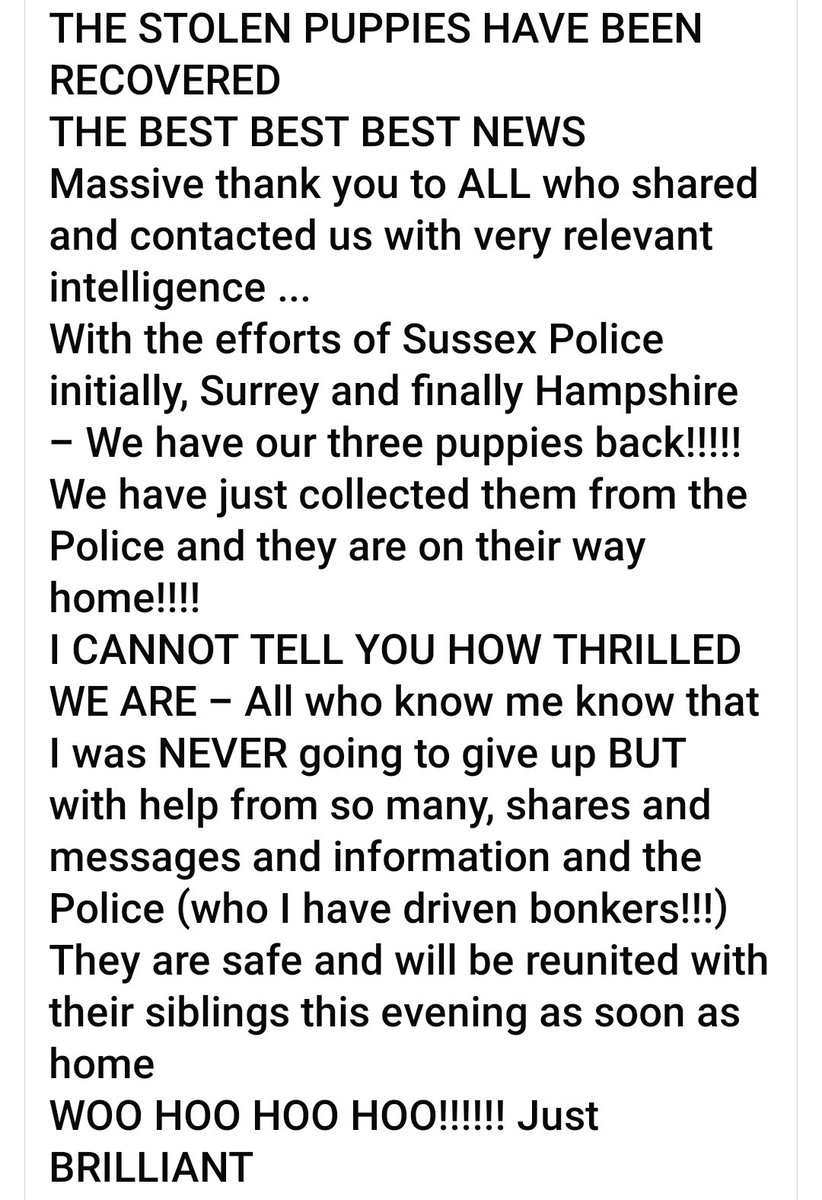 Incredible news! Happy❤ #reunited

"THE STOLEN PUPPIES HAVE BEEN RECOVERED
THE BEST BEST BEST NEWS
Massive thank you to ALL who shared &amp; contacted with very relevant intelligence
With efforts of Sussex Police initially, Surrey &amp; finally Hampshire-We have our three puppies back!"