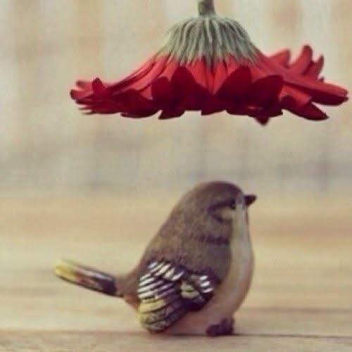 رساله إلى قلبي
إطمئِن وكُن متفائلاً
وكُن مبتسِماً كما عهدتّك 

فما تلك اللحضاات 
اللتي عصفَتْ بِكْ في أمسك
إلاّ بوابة الصبر الجميل نحو السعادة