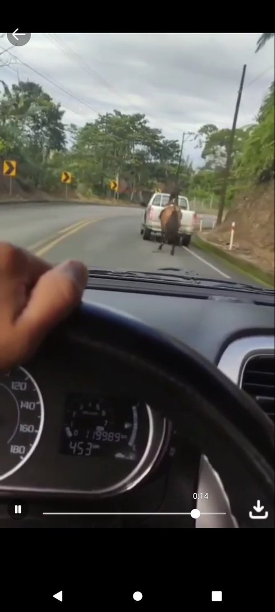 Vía #Macas nos envían estas imágenes, el caballo  aparentemente está amarrado a la camioneta, la sigue. Existe el crimen perfecto? Carreteras sin control, maltrato animal a vista de todos <a href="/ECU911_/">ECU 911</a>    <a href="/DanielNoboaOk/">Daniel Noboa Azin</a> <a href="/RobertoLuqueN/">Roberto Luque</a> <a href="/NielsOlsenP/">Niels Olsen</a>