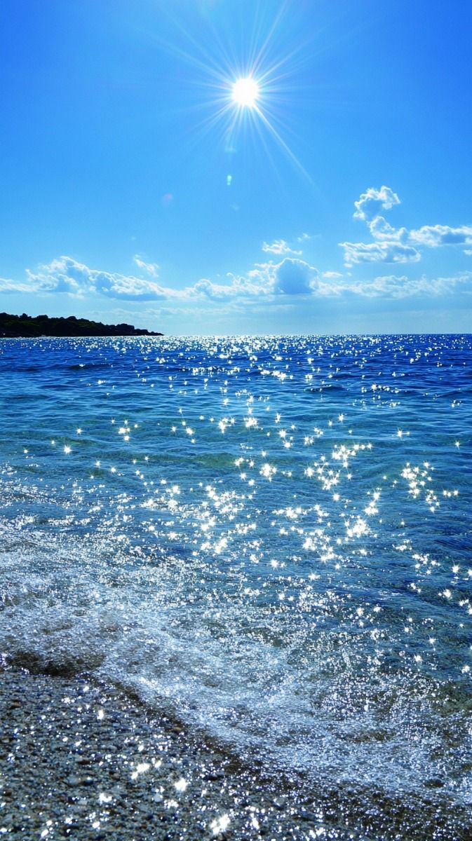 Irene Kiwia tweet media