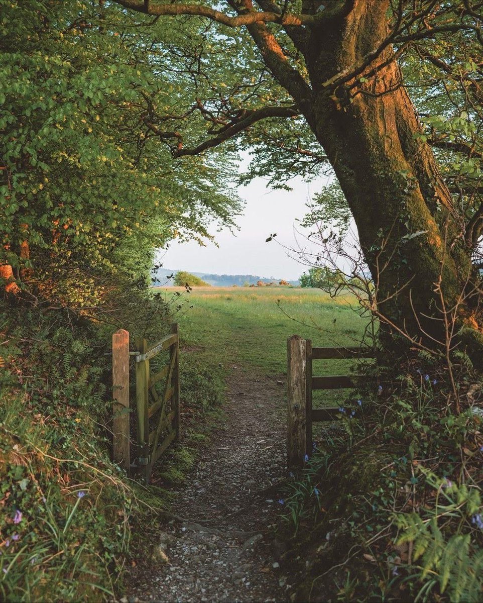 لحديقتنا في قريتنا باب.