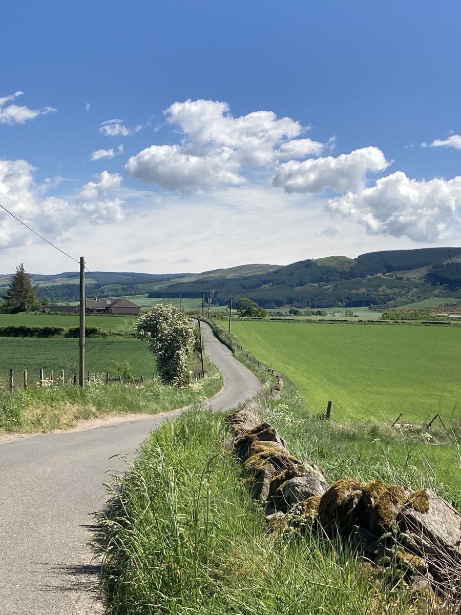 Susan Rodrigues tweet media