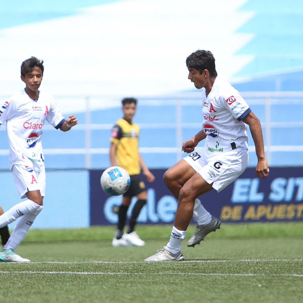 primerafutboles's tweet photo. ⌚ 32' | 3 Llegadas de peligro por parte de @cdplatense_sv
#Platense 0-0 #Alianza
#FinalTorneoSub17 #Clausura2025 #PLAvsALI https://t.co/4VttRTqwXv