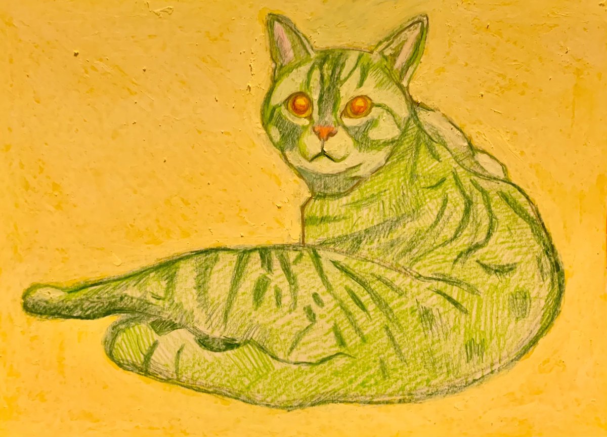 n_sou31's tweet photo. 2025/05/26(mon)曇り13°〜24°
今月は猫を8匹も描いてる。我ながら驚く。近いうちに犬も描きたい。 https://t.co/NQYQ8MRH3p