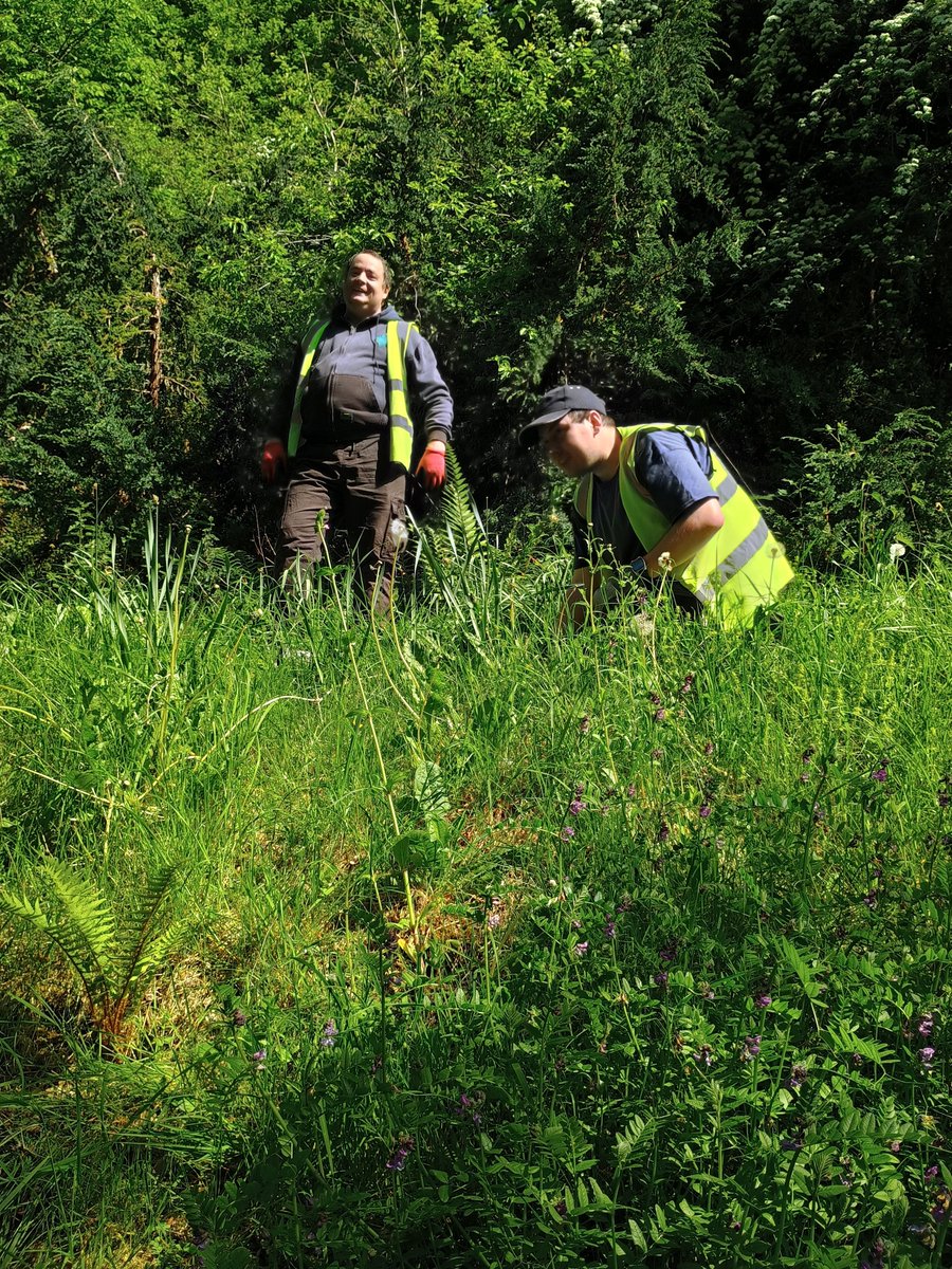 TCV Scotland tweet media