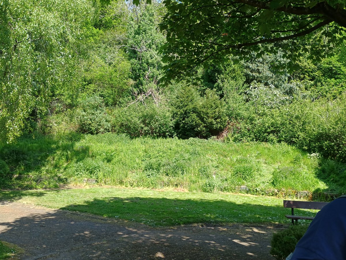 TCV Scotland tweet media