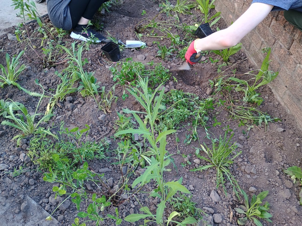 TCV Scotland tweet media