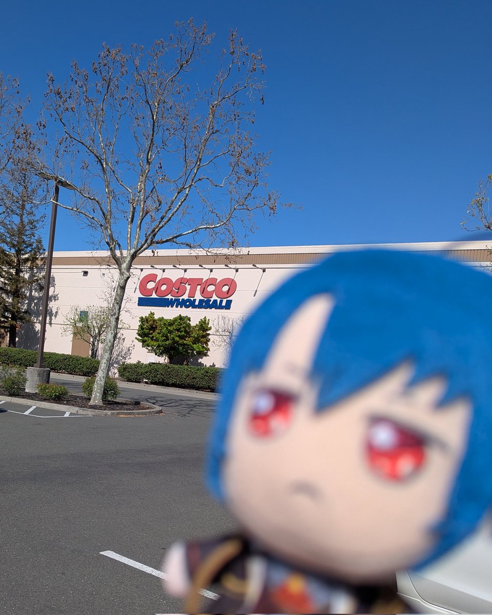 microzcopic's tweet photo. Grocery shopping in bulk today was not a wise decision. https://t.co/UlvoAblr7i