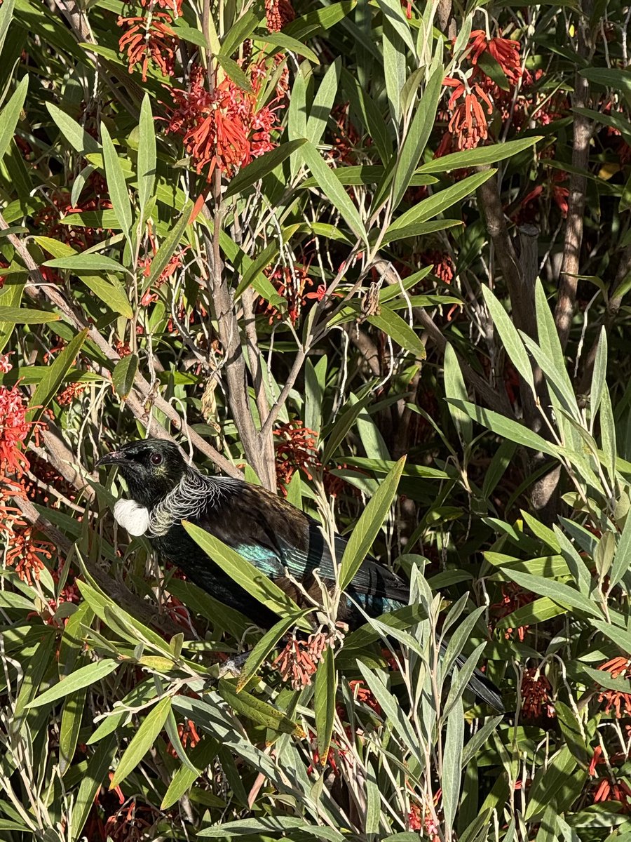 Jane Bloomfield tweet media